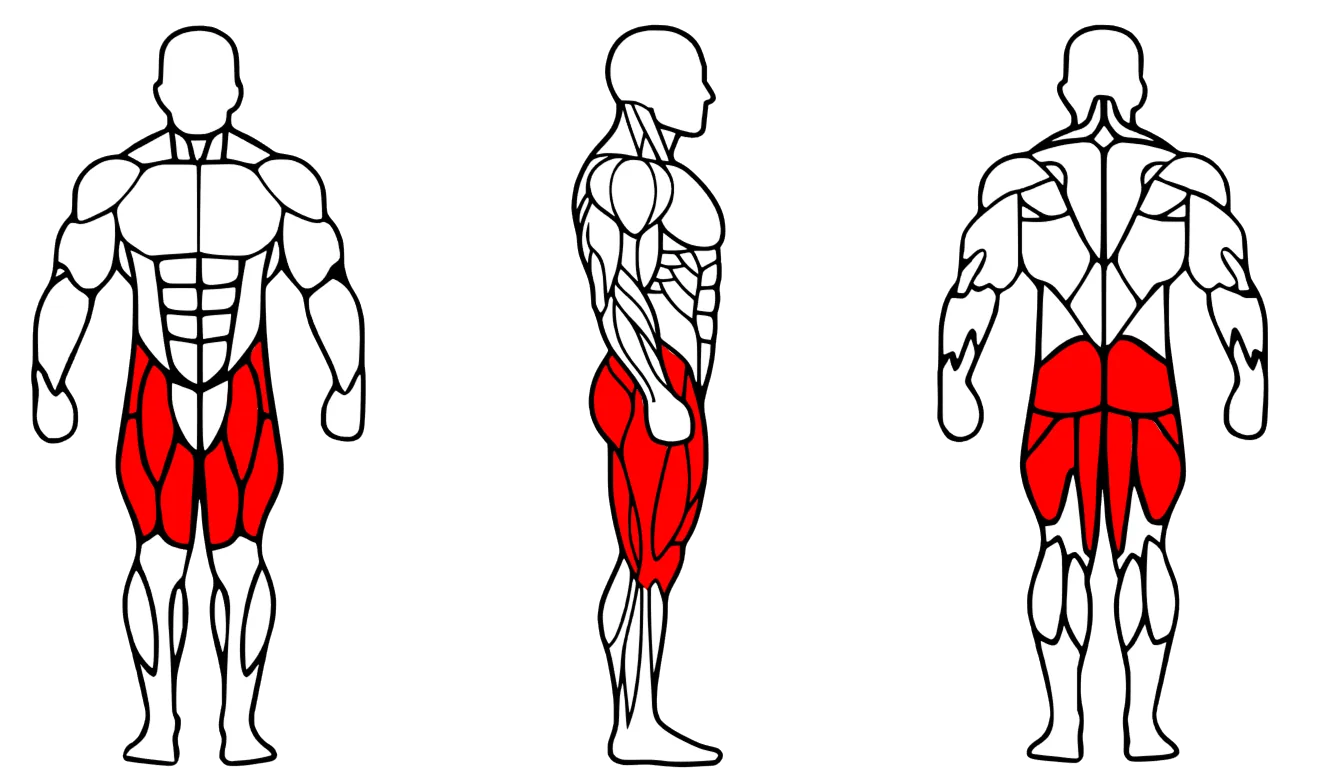 Diagrama dos músculos trabalhados — Leg Press 45°